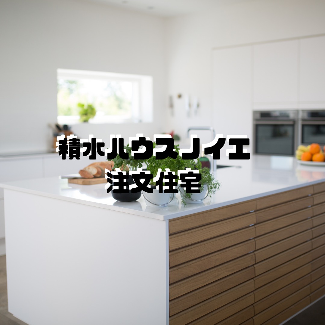 積水ハウスノイエの注文住宅の話を聞いてみました 30代設計士 アキュラホームで大空間の家づくり 積水ハウスノイエの注文住宅の話を聞いてみました 30代設計士 アキュラホームで大空間の家づくり
